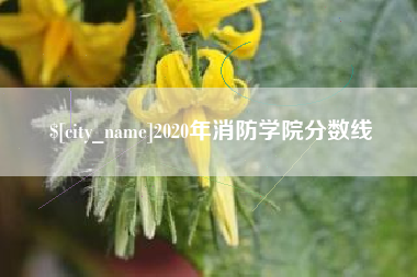 枝江2020年消防学院分数线