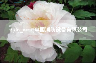 枝江中国消防设备有限公司