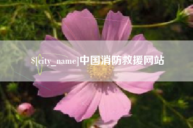 枝江中国消防救援网站