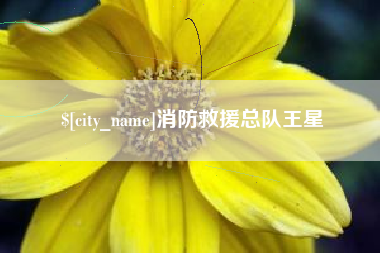 枝江消防救援总队王星