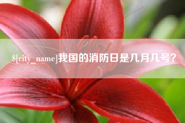 枝江我国的消防日是几月几号？