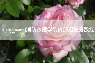 枝江消防救援学院内部招生分数线