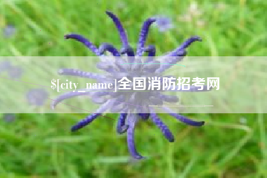 枝江全国消防招考网