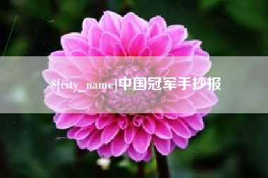 枝江中国冠军手抄报