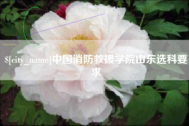 枝江中国消防救援学院山东选科要求