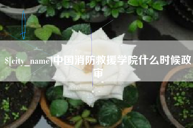 枝江中国消防救援学院什么时候政审