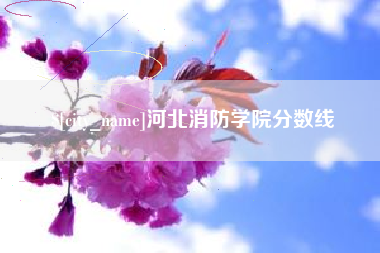 枝江河北消防学院分数线