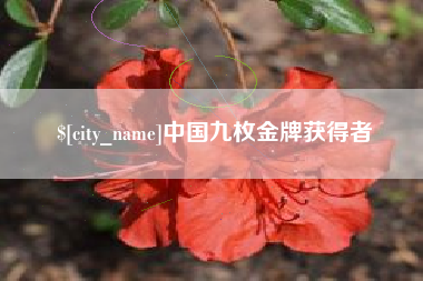 枝江中国九枚金牌获得者