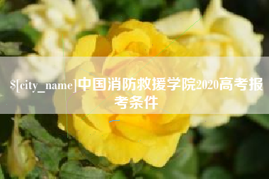 枝江中国消防救援学院2020高考报考条件