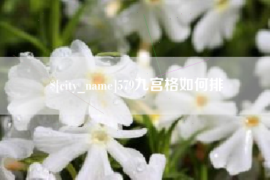 枝江579九宫格如何排