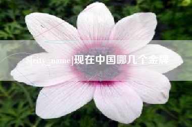 枝江现在中国哪几个金牌
