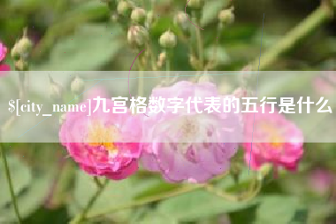 枝江九宫格数字代表的五行是什么