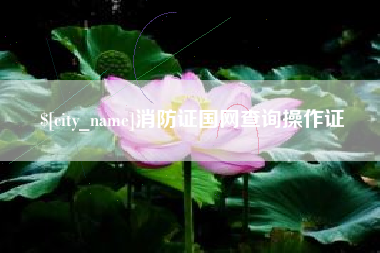 枝江消防证国网查询操作证