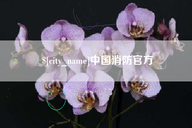 枝江中国消防官方