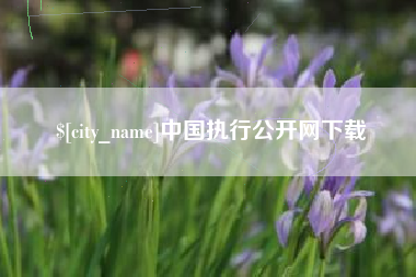 枝江中国执行公开网下载