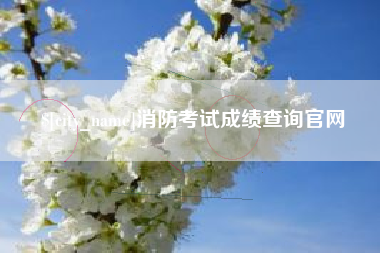 枝江消防考试成绩查询官网