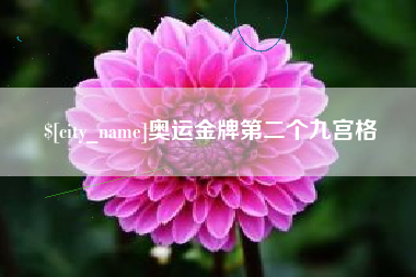 枝江奥运金牌第二个九宫格