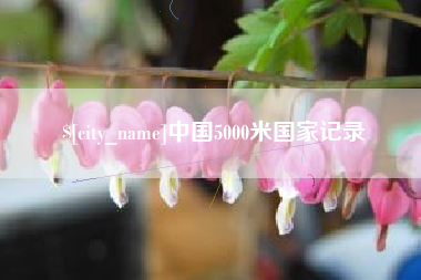 枝江中国5000米国家记录