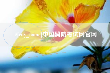 枝江中国消防考试网官网