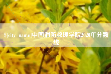 枝江中国消防救援学院2020年分数线