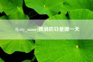 枝江我消防日是哪一天