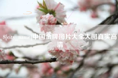 枝江中国金牌图片大全大图真实高清