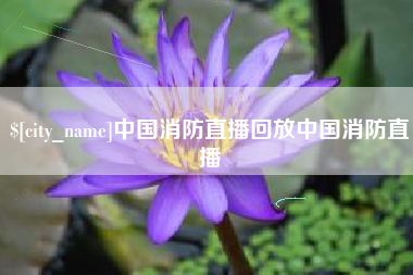 枝江中国消防直播回放中国消防直播