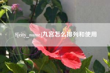 枝江九宫怎么排列和使用