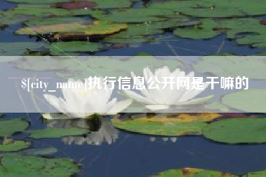 枝江执行信息公开网是干嘛的