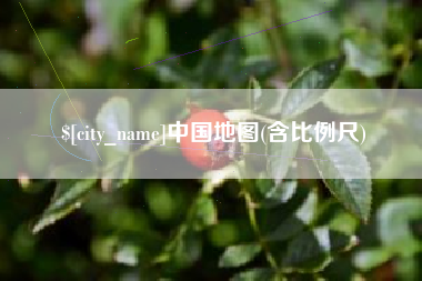 枝江中国地图(含比例尺)