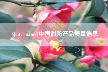 枝江中国消防产品质量信息