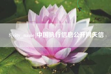 枝江中国执行信息公开网失信