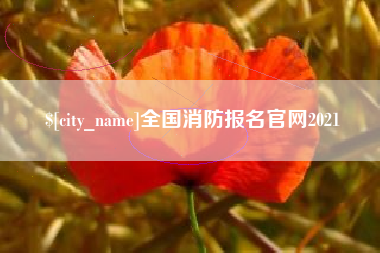 枝江全国消防报名官网2021