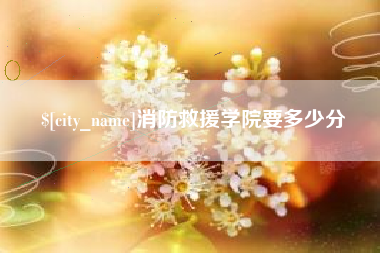 枝江消防救援学院要多少分