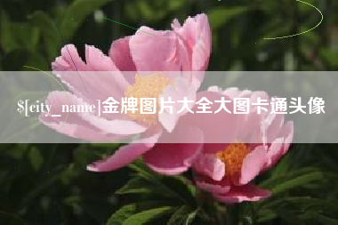 枝江金牌图片大全大图卡通头像