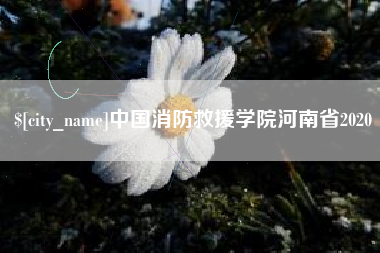 枝江中国消防救援学院河南省2020